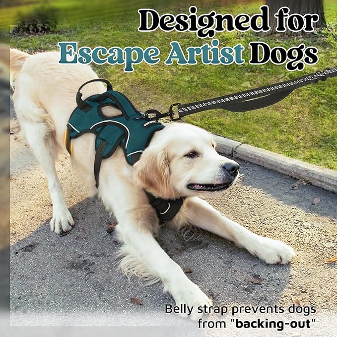 rabbitgoo Escape Proof Dog Harness, Soft Padded Full Body Pet Harness, Reflective Adjustable No Pull Vest with Lift Handle and Leash Clip for Large Dogs Walking Hiking Training, Dark Green, L