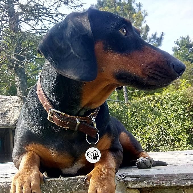 MYLUCKYTAG QR Code Silicone Dog ID Tag, Quiet & Durable, Engraved Dog Collar Tag with Online Pet Profile & Location Alert Email