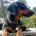 MYLUCKYTAG QR Code Silicone Dog ID Tag, Quiet & Durable, Engraved Dog Collar Tag with Online Pet Profile & Location Alert Email