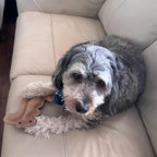 SPOT Dura-Fused Leather Squirrel Dog Toy – Real Leather & Jute Fabric, Double-Stitched & Durable, Soft Stuffed Squeaky Interactive Chew Toy for Moderate Chewers, Small & Medium Dogs, 8in