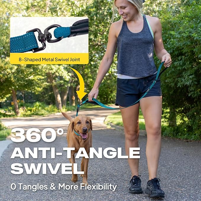 Fida 2-in-1 Slip Leads for Dogs with Double Handles, Tangle Free Leash for Large Dogs That Pull, Heavy Duty No Pull Training Leash Reflective Soft Padded for Large & Medium Breed(6ft,Blue)