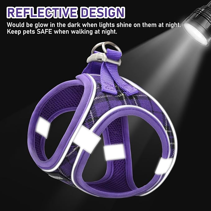 GAMUDA Small Dog Harness Collar and Leash Set, Step in No Chock No Pull Soft Mesh Adjustable Dog Vest Harnesses Plaid Reflective for Dogs Puppy Cats Kitten Rabbit (Purple, XXS)