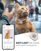 Cat Collar with QR Code Name Tag, Breakaway Kitten Collar for Boy & Girl Cats, Ultra Soft Elastic Adjustable Band, Safety Break Away Buckle, Comfortable & Secure Pet ID Collar (6"-12"), Khaki