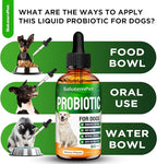 Probiotics for Dogs | Liquid Probiotics for Dogs and Puppies | Prebiotic & Digestive Enzymes | Gut Flora Support and Digestive Care | Bacon Taste | 2 Oz