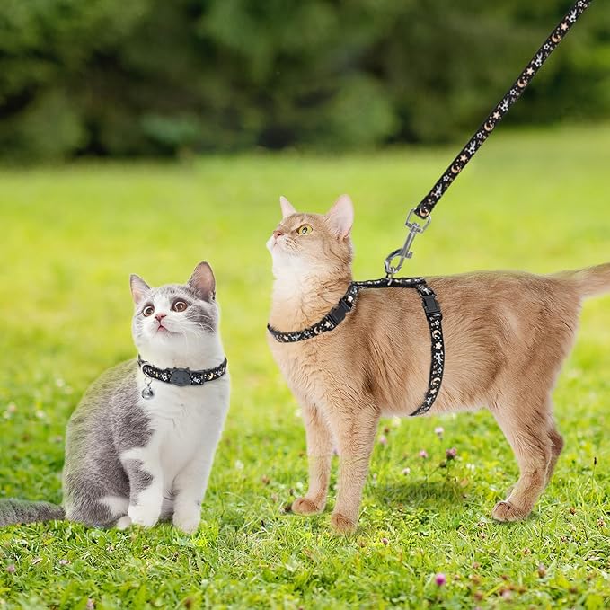 PAWCHIE Cat Harness with Leash and Collar Set - Escape Proof Adjustable H-shped Cat Harness with Star and Moon Pattern Glow in The Dark for Kitty Outdoor Walking