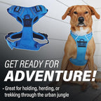Doggie Design Venture Paw No Pull Dog Harness - Simple Adjustable Puppy Harness - Anti Pull Dog Collar for Walks and Outdoor Adventures - Mountain Lake, L