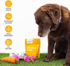 Pet Treats, Air-Dried, Natural, Single Ingredient Dog Treat, Free Range, Grain Free Dog Treats, Toppers, Snacks, Chicken Neck 2.8 oz