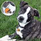 NFL Cleveland Browns Engraving Pet ID Tags in 32 Team Logo Shapes - Personalized Cat and Dog Tags with 3 Lines of Text for Safety and Tracking. Stainless Steel