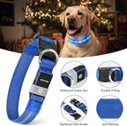 LED Dog Collar, Light Up Dog Collar, USB Rechargeable - Brightest Dog Lights for Night Walking, 6 Light Modes, Adjustable for Dog Safety(Large, Royal Blue)