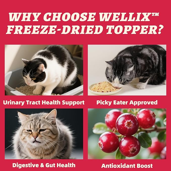 Wellix Dog & Cat Food Topper - Cranberry Treats Freeze Dried Egg Yolk & Chicken Flavor Low Calorie - Support Kidney Bladder & Urinary Health - Healthy Cat Treats for Indoor Cats