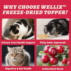 Wellix Dog & Cat Food Topper - Cranberry Treats Freeze Dried Egg Yolk & Chicken Flavor Low Calorie - Support Kidney Bladder & Urinary Health - Healthy Cat Treats for Indoor Cats