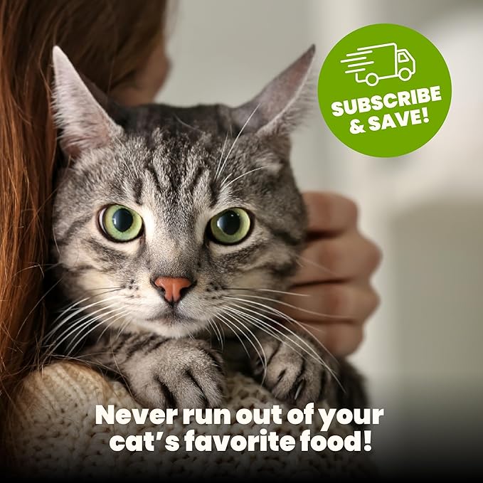 almo nature HQS Natural Wet Cat Food Tuna in Broth Atlantic Style, Grain-Free, 2.47 oz (Pack of 24)