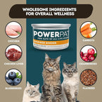 Only Natural Pet PowerPate Grain-Free Chicken Dinner Wet Cat Food - Holistic, High Protein w/Chicken & Broth - Balanced Nutrition for Kitten & Cats of All Life Stages, 2.75 oz Cans, Case of 12 (C)