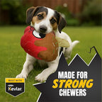 Bite Force -Durable & Strong Dog Toy Candy Apple Buddy with Squeaker, Kevlar-Reinforced for Aggressive Chewers for Small Medium Large Dogs - red.