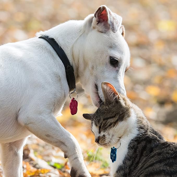Frienda 40 Pieces Pet ID Tag Colorful Blank Dog Tags Personalized Dog Tags Aluminum Pet Name Tags with Bone Paw Heart Cat Head Shape Animals Name Phone Number ID Craft Tags with Holes for Dogs Cats