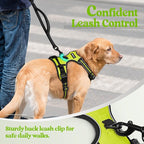 rabbitgoo Dog Harness No Pull with 2 Leash Clips, Adjustable Soft Padded, Reflective Oxford No Choke Pet Vest with Easy Control Handle for Large Dogs, Green, L