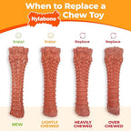 Nylabone Broccoli Power Chew Toy for Dogs, Dog Toys for Aggressive Chewers, Bacon & Cheese Flavor, Large Dogs - Up to 50 lbs, 1 Count