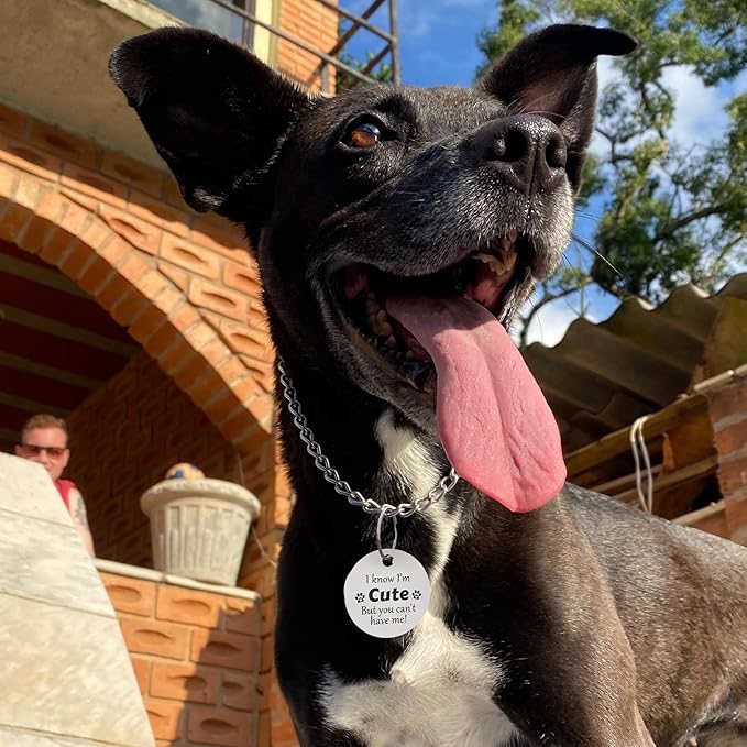 MYLUCKYTAG QR Code Stainless Steel Personalized Dog ID Tag, Digital Pet Profile, Pet Location Alert Email