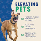 Finley's Soft Chew Dog Treat Training Bites Treats for Dogs Made in USA | Duck Recipe | All-Natural Protein Wheat Free Dog Treats | Healthy Dog Treat Bags | No Preservatives, 16 Ounce (Pack of 6)