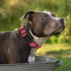 Mile High Life Dog Collar | Nylon Reflective Dog Collars | Light Weight Puppy Collars | Red Dog Collars for Large Dogs (Solid Red, Large)