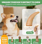 Durable Dog Chew Toy for Aggressive Chewers, Ultra Tough Dental Toy for Teeth Cleaning, Boredom Anxiety Relief, Long-Lasting Toy for All Dog Sizes & Teething Puppies, Keep Them Busy