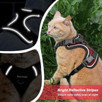 Cat Harness and Leash for Walking Escape Proof Soft Adjustable Cat Leash Breathable Honeycomb Structure Comfortable Vest Easy to Wear Kitten Harness for Outdoor Travel, Honeycomb Red, XXS