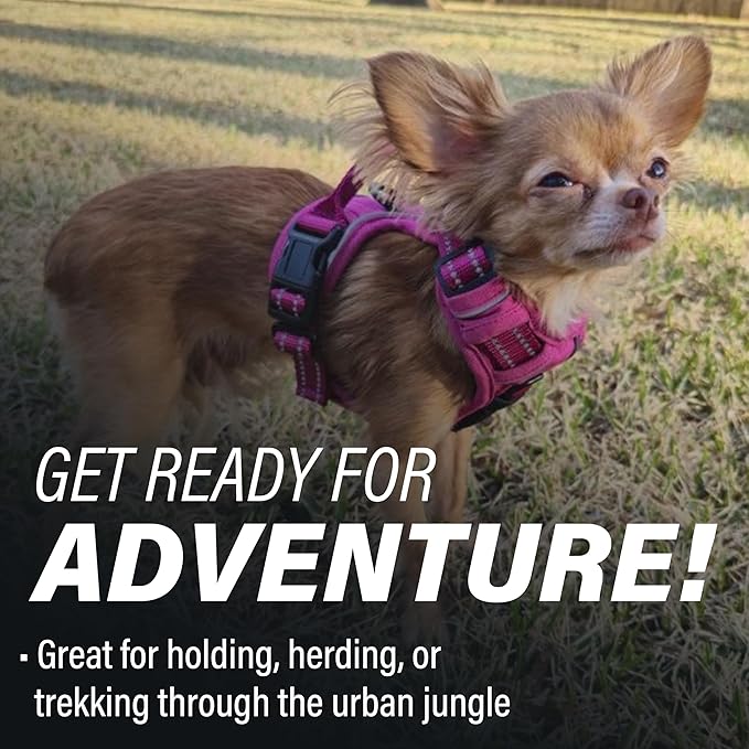 Doggie Design Venture Paw No Pull Dog Harness - Simple Adjustable Puppy Harness - Anti Pull Dog Collar for Walks and Outdoor Adventures - Wild Raspberry, XS