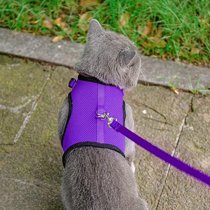 PUPTECK Soft Mesh Cat Vest Harness and Leash Set Puppy Padded Pet Harnesses Escape Proof for Cats Small Dogs, Purple Large