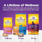 Wellness Complete Health Chicken & Turkey Pate Favorites Variety Pack, 5.5 Ounces Can (Pack of 12)