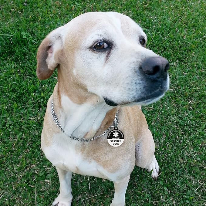 MYLUCKYTAG Service Dog ID, QR Code Stainless Steel Tag, Engraved, Durable, Digital Pet ID, Online Profile, Location Alert Email