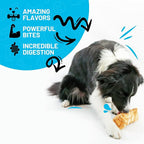 Sitka Farms Beef Cheek ROLL Bully Dusted 5-6 Inch (10 Count) Extra Thick Dog Chew Bones No Rawhide Sourced from Free Range Grass Fed/Healthy Teeth and Gums for Small Medium and Large Dogs