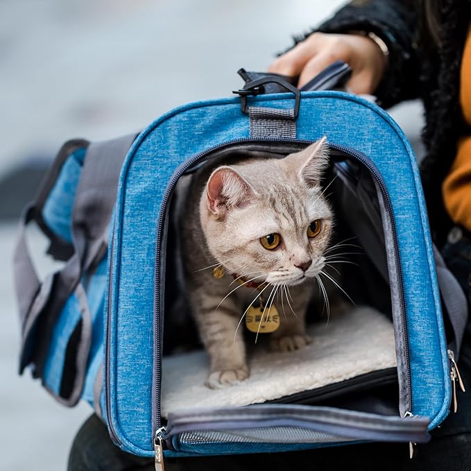 Mr. Pen Pet Carrier - Soft-Sided Cat & Dog Carrier Bag for Travel