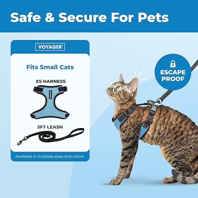 Voyager Escape-Proof Step-in Lock Cat Harness & 5ft Neoprene-Handle Leash Set All-Weather Mesh with Reflective Stitching for Small to Large Cats by Best Pet Supplies, Black Trim-Baby Blue (327), XS