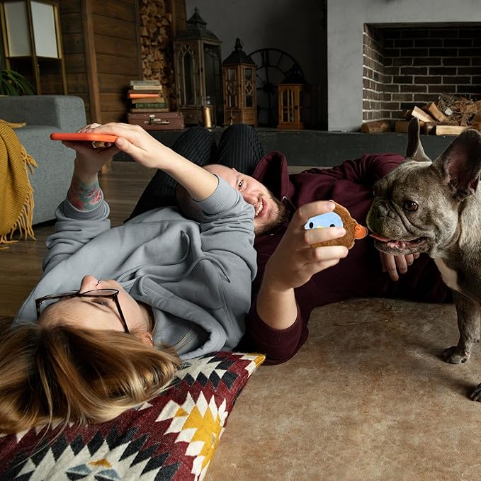 Flourish Pets 2 in 1 Multi-Layer Chew Toy for Active Dogs | Non-Toxic BPA Free Double Stitched Soft Fabric Exterior Dog Toys | Long-Lasting Dog Plush Toys –Turkey (4”)