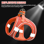 GAMUDA Small Pet Harness Collar and Leash Set, Step in No Chock No Pull Linen Fabric Soft Mesh Dog Vest Harnesses Reflective for Dogs Puppy Cats Kitten Rabbit (Orange, XL)