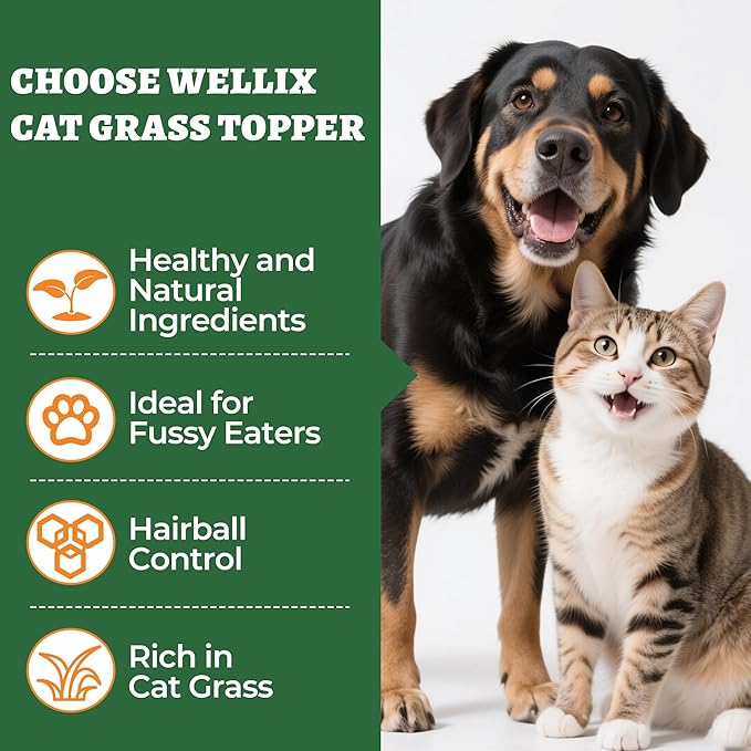 Wellix Dog&Cat Food Topper - Cat Grass Treats for Haiball Treament - Chicken Flavor Freeze Dried Cat Treats - Low Calorie Training Treats for Dogs&Cat 7.5oz