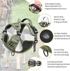 HEELE Dog Harness, No Pull Adjustable Padded Reflective Harness for Small Medium Large Dogs with Handle for Walking Training, Green, M