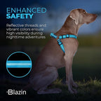BLAZIN No Pull Dog Harness - Adjustable Step-in Reflective Nylon Vest Harness - Neoprene Padded for Extra Comfort (Small, Blue)