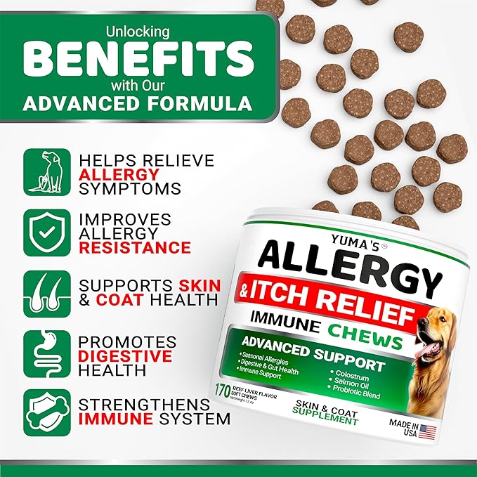 Dog Allergy Relief Chews - Dog Itching Skin Relief Treatment Pills - 170 Treats - Anti-Itch - Itchy and Paw Licking - Hot Spots - Omega 3 Fish Oil - Dry Skin & Coat Supplement - Beef Liver Flavor