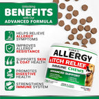 Dog Allergy Relief Chews - Dog Itching Skin Relief Treatment Pills - 170 Treats - Anti-Itch - Itchy and Paw Licking - Hot Spots - Omega 3 Fish Oil - Dry Skin & Coat Supplement - Beef Liver Flavor