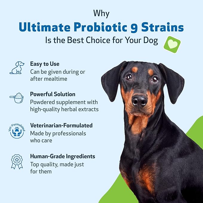 Pet Wellbeing - Ultimate Probiotic 9 Strains for Cats and Dogs - Natural Support for Digestion and Urinary Tract Health 160 Grams.
