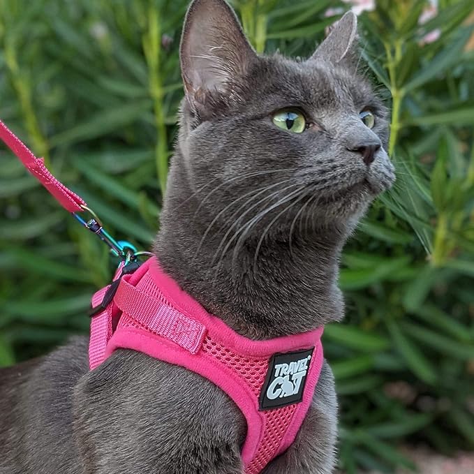 Travel Cat Harness and Leash Set - Adjustable Fit Mesh Cat Harness and Reflective Strap - Comfort Walking Vest for Kitten for Outdoor Walking, Hiking (Medium)