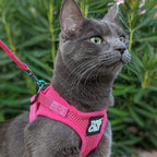 Travel Cat Harness and Leash Set - Adjustable Fit Mesh Cat Harness and Reflective Strap - Comfort Walking Vest for Kitten for Outdoor Walking, Hiking (Large)
