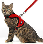 PUPTECK Cat Harness and Leash Set Escape Proof, Reflective Adjustable Soft Mesh Kitten Vest Harness for Walking Travel, Red, M