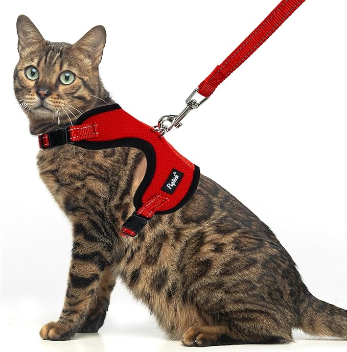 PUPTECK Cat Harness and Leash Set Escape Proof, Reflective Adjustable Soft Mesh Kitten Vest Harness for Walking Travel, Red, S