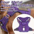 rabbitgoo Tactical Dog Harness for Large Dogs, No Pull Military Service Vest with Handle & Molle, Easy Control for Training Walking, Adjustable Reflective Straps, Purple, XL
