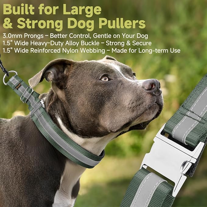 Mayerzon Martingale No Pull Collar for Large Medium Dogs, Patented Dog Walking Training Collar for Pulling, 1.5'' Wide Alloy Buckle, Neoprene Padded, Adjustable, Reflective, Easy to Use(XL, Green)