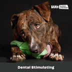 Barkbox Super Chewer Tough Dog Chew Toys for Aggressive Chewers, Dental Stimulating (Iguana - Large)