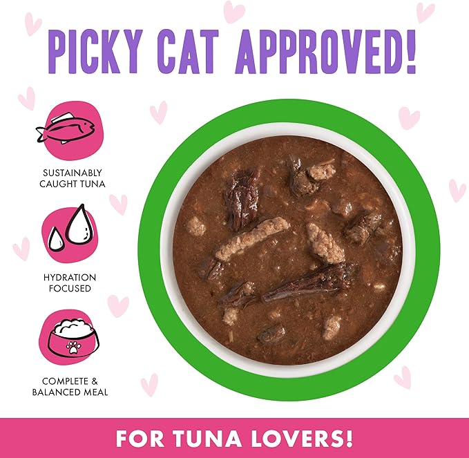 B.F.F. OMG - Best Feline Friend Oh My Gravy!, Tuna & Lamb Lights Out with Tuna & Lamb, 2.8oz Can (Pack of 12)