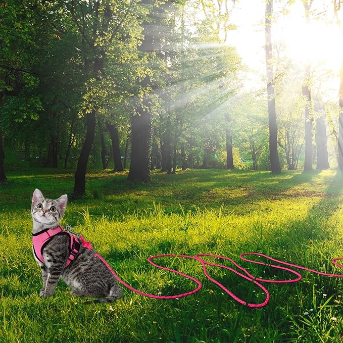 Reflective Cat Leash -50FT Cat Cable Out Escape Proof Walking Leads Yard Long Durable Safe Leash Traning Play Outdoor for Puppies/Kittens/Small Animals(Hotpink)